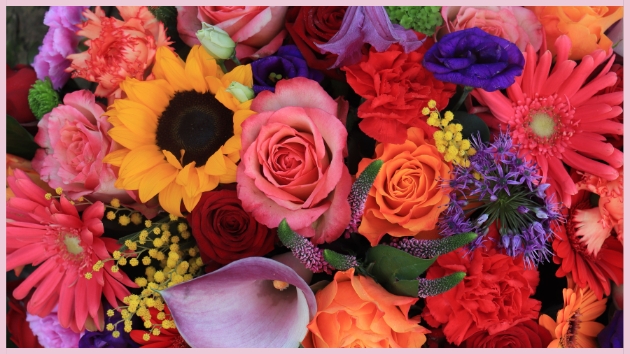 Fleurs Colorées Fleurs Colorées
