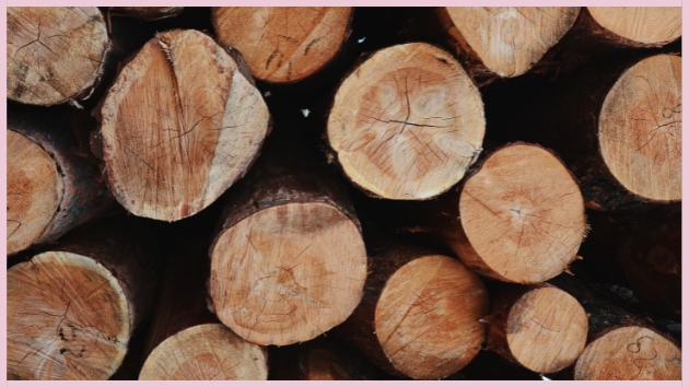 Morceaux de bois Morceaux de bois