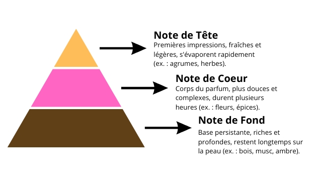 Pyramide Olfactive Pyramide Olfactive