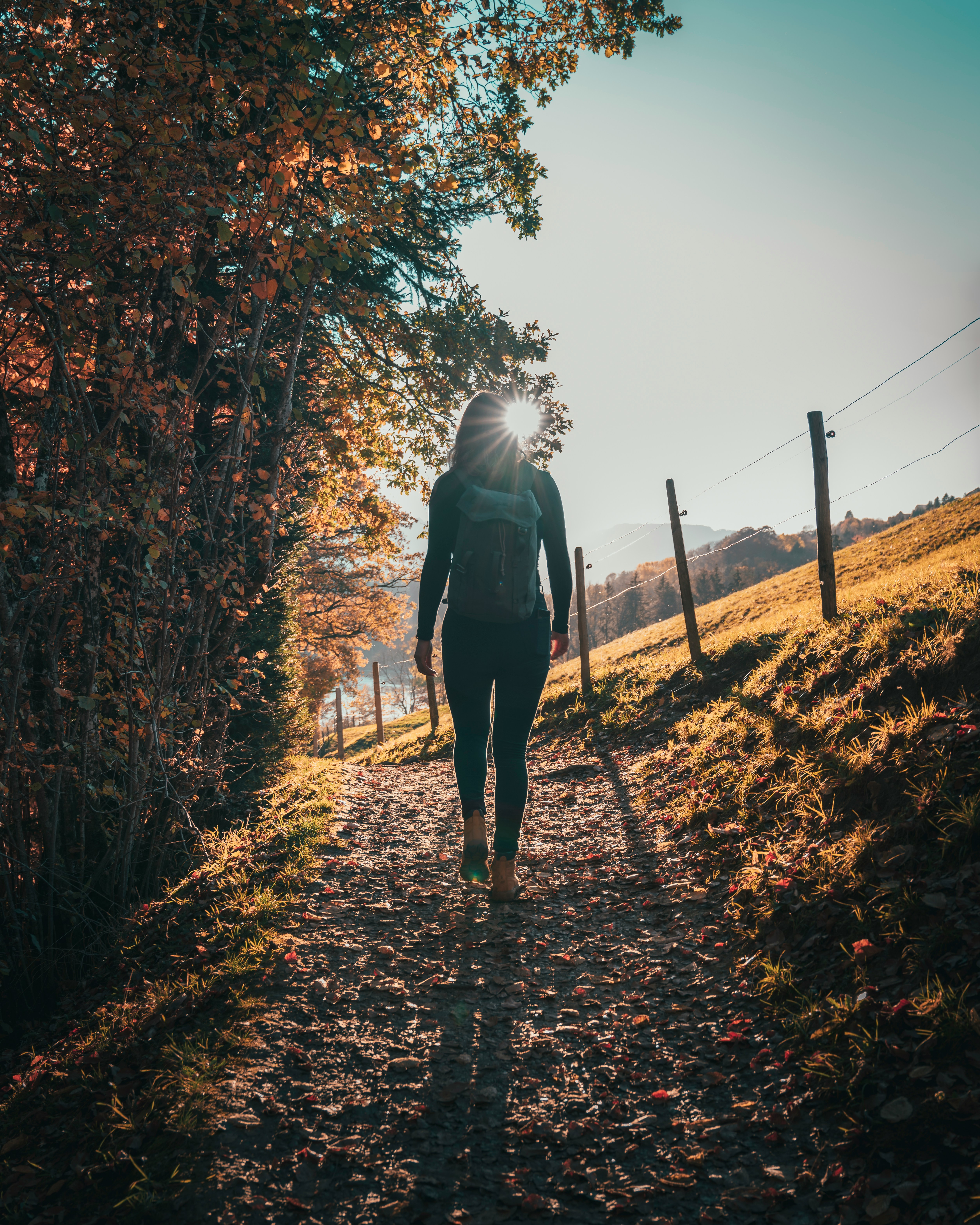 Woman walking beside forest river