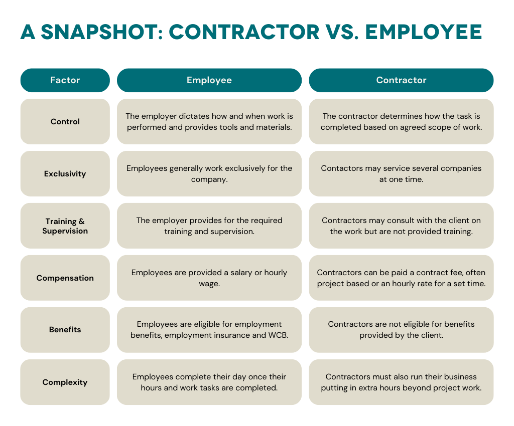 A Snapshot: Employee vs Contractor