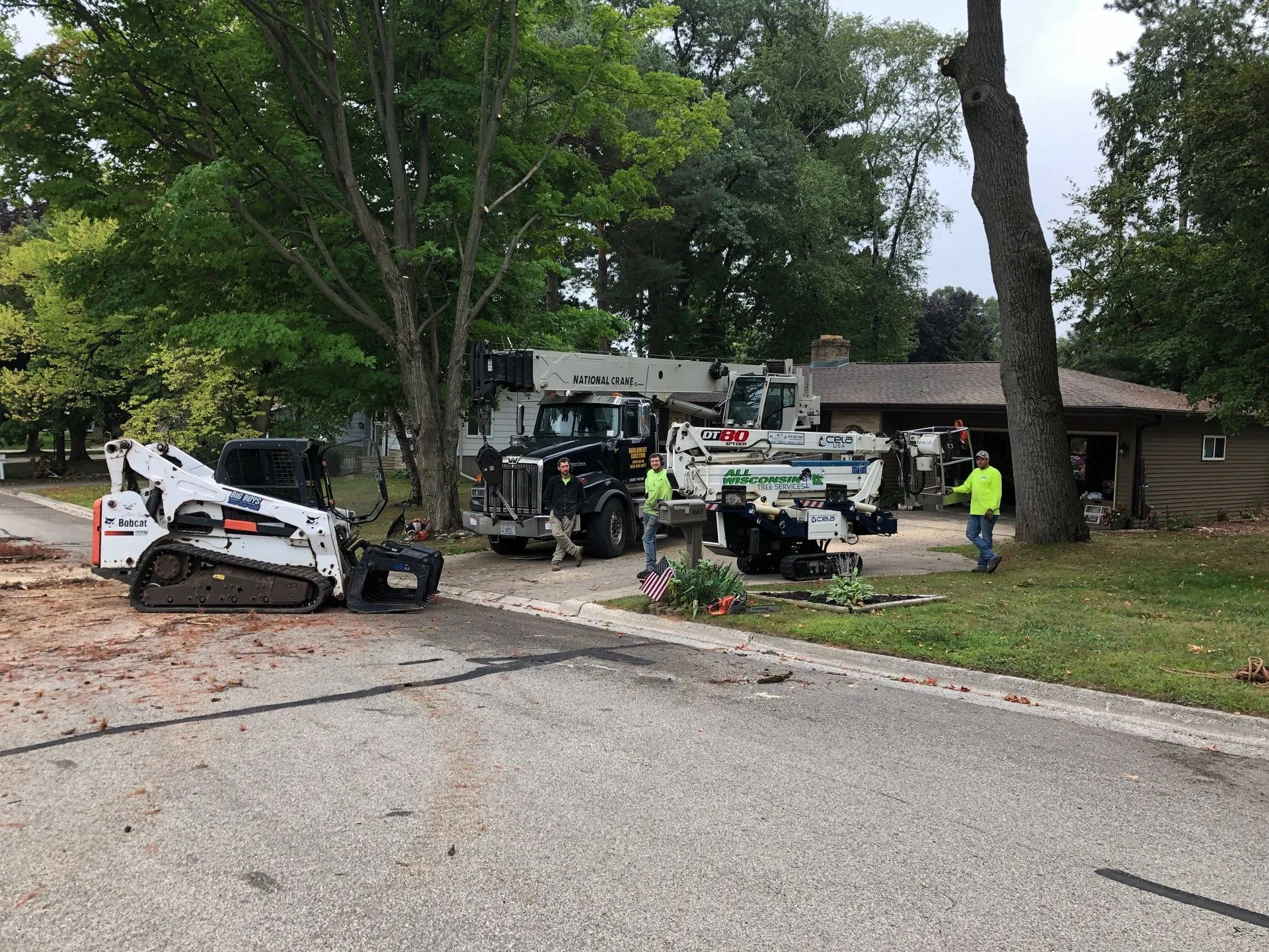 tree services