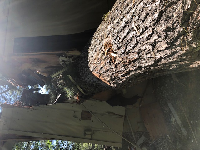 Storm Damage Repair in Green Bay, WI