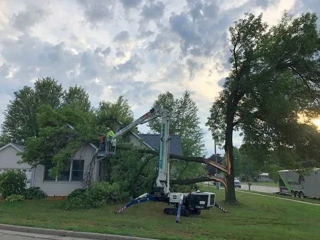 Storm Clean Up Services in Green Bay