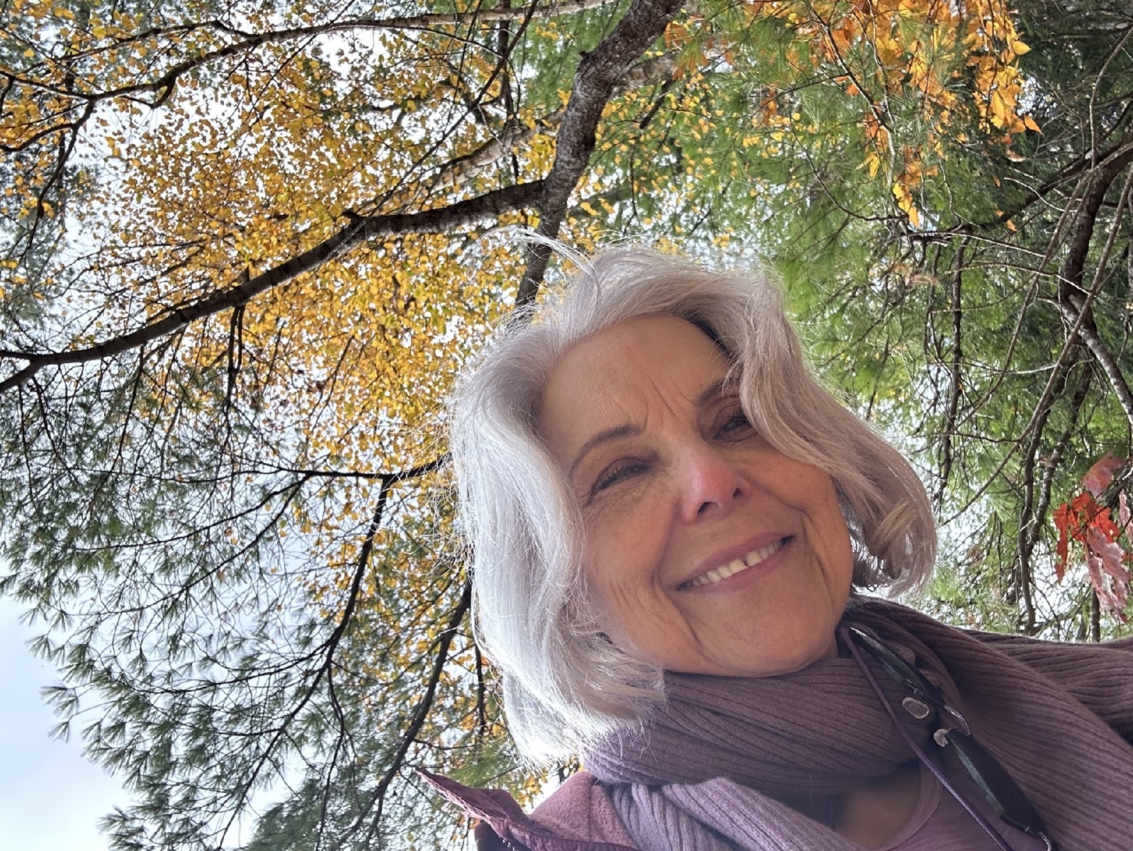 Seasons of Surrender