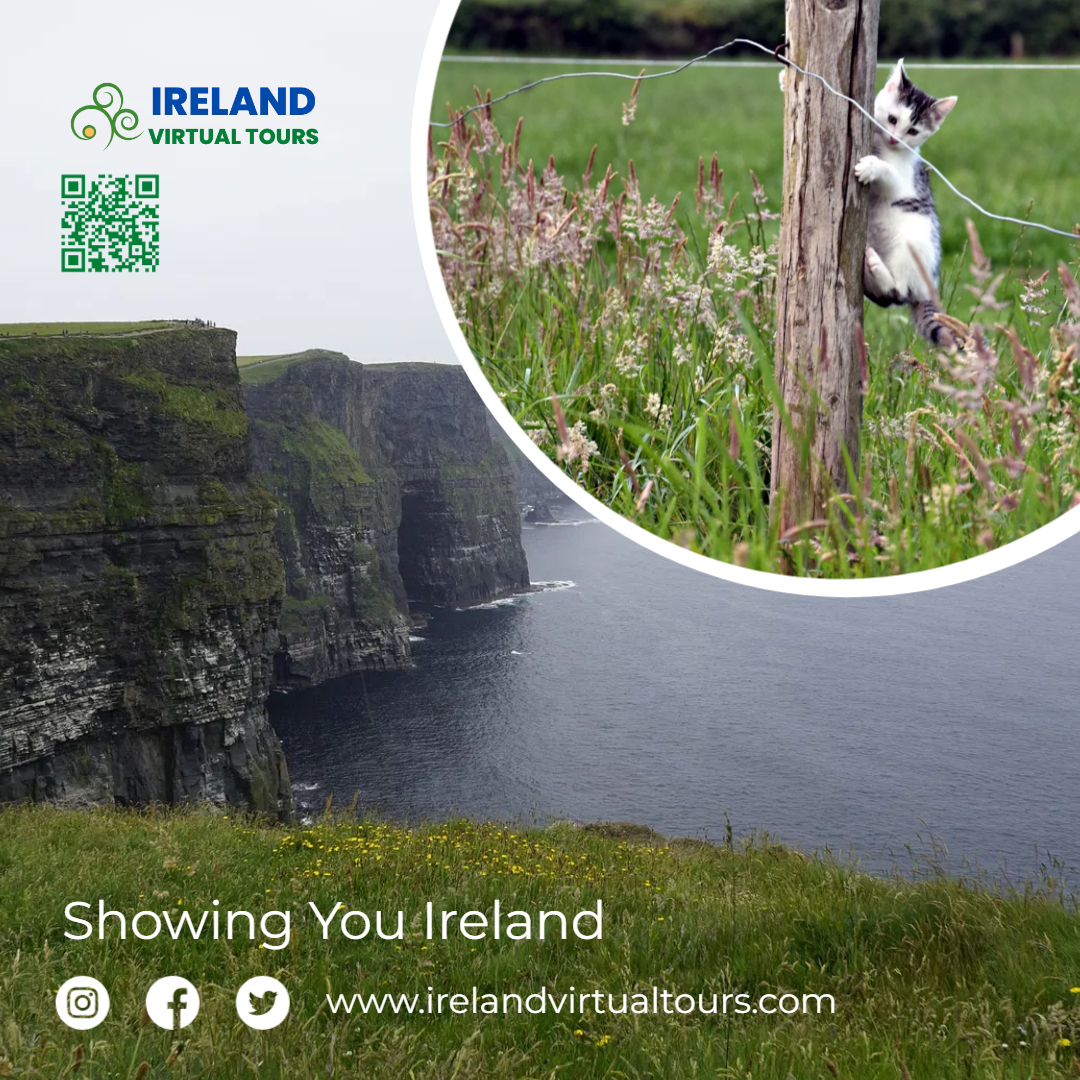 Cliffs Of Moher
