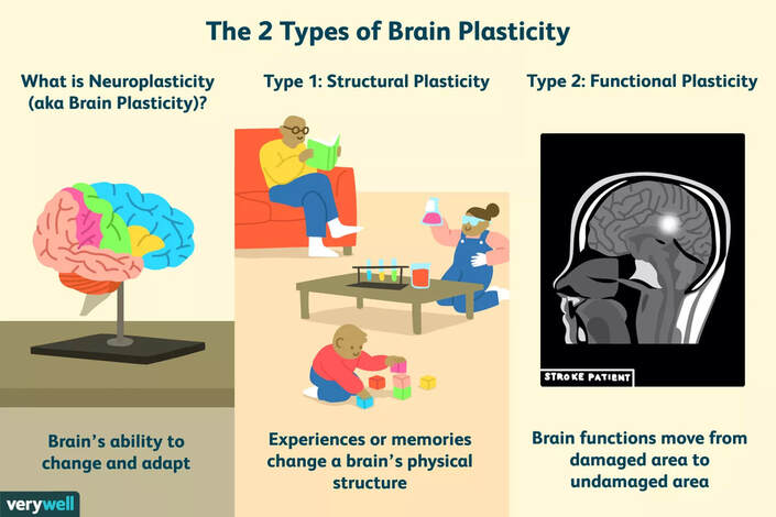 neuroplasticity