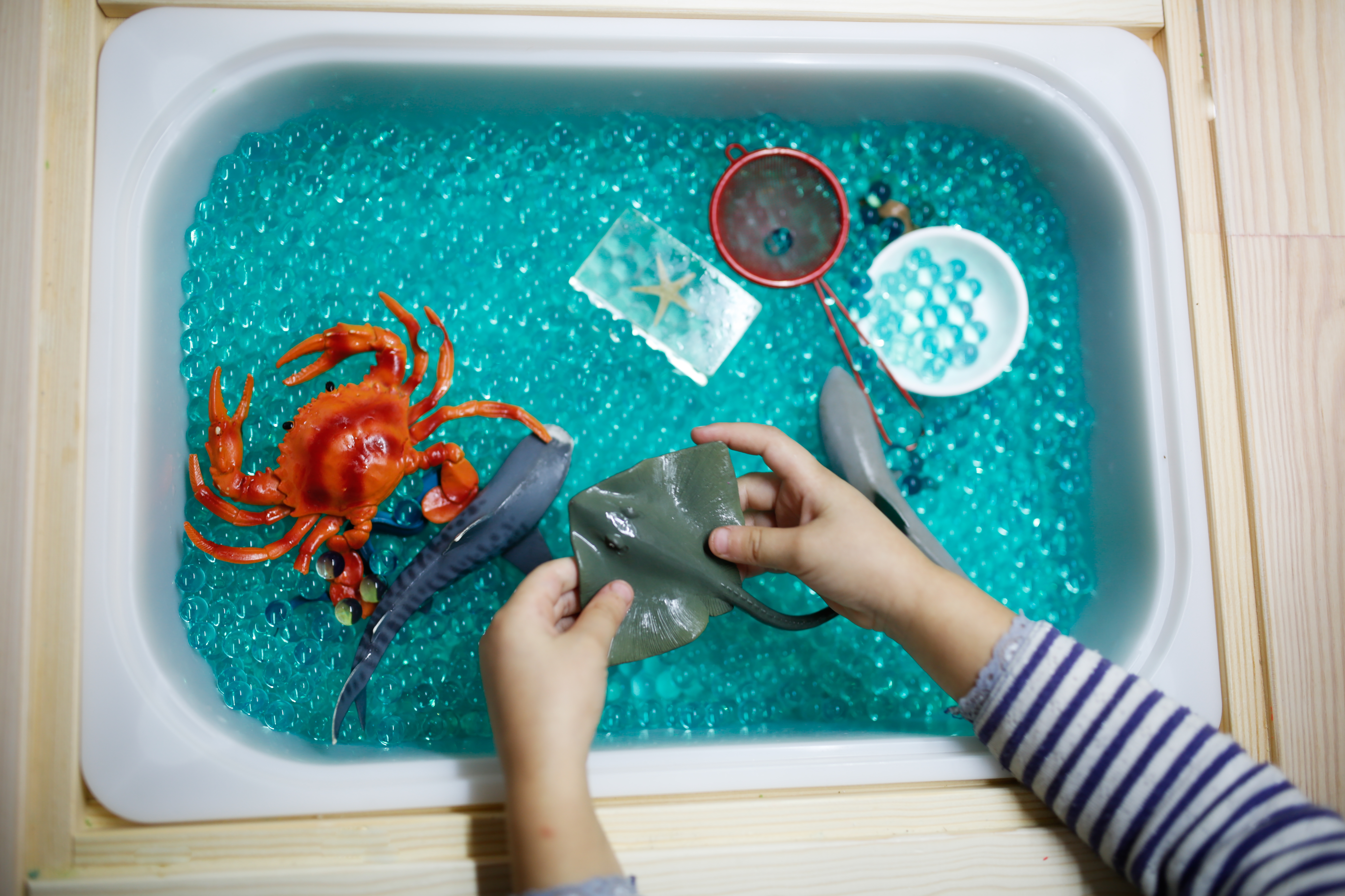Box of sensory toy