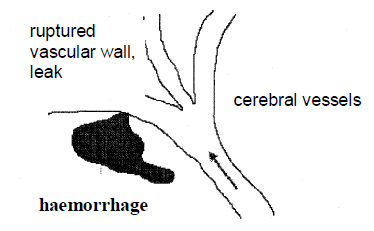 img img