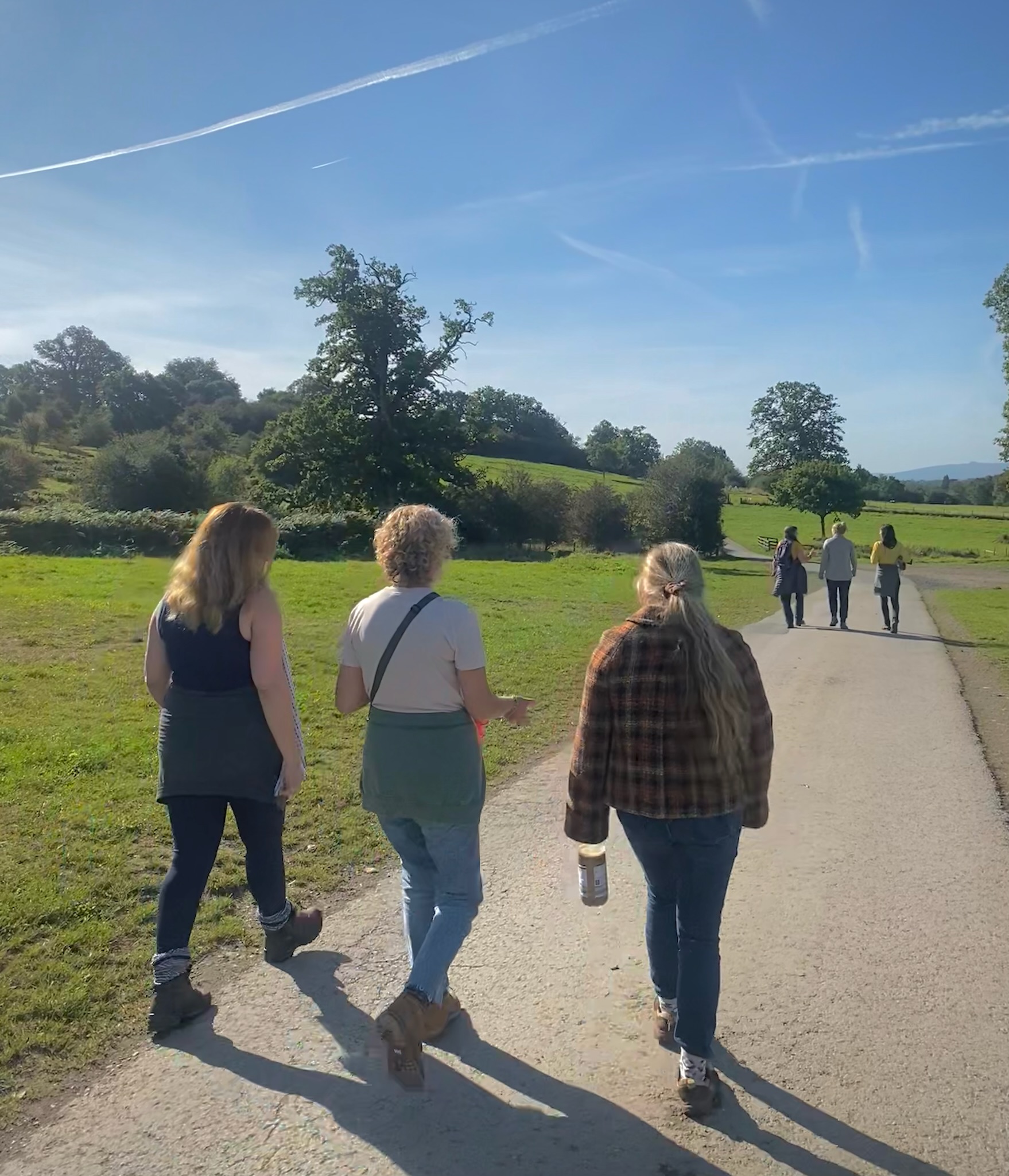women in business, netwalking, networking, creative women, wellbeing women, nature walks