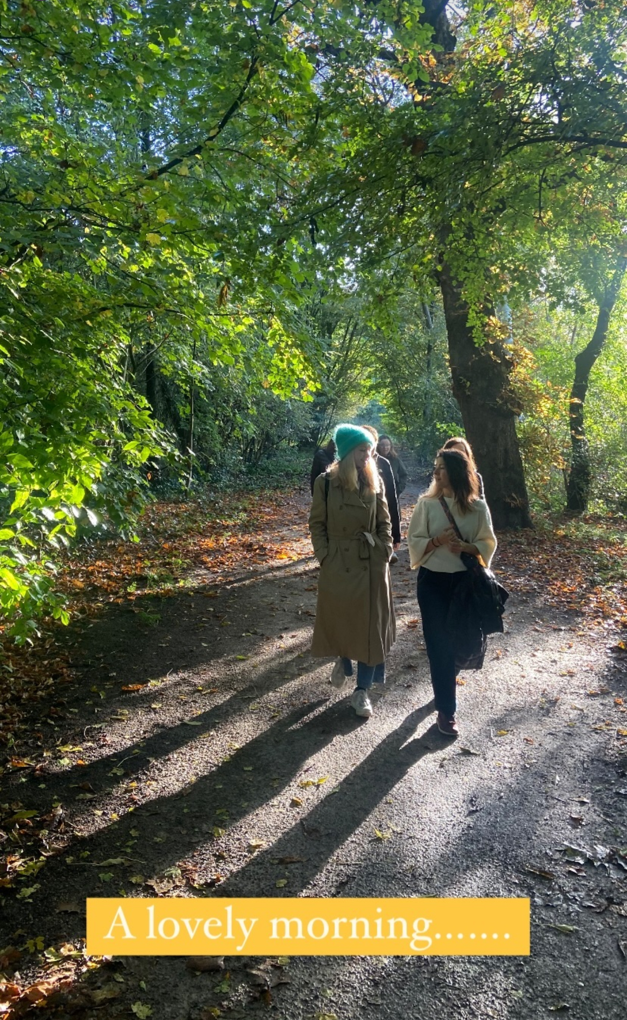 walking side by side, natural in nature, netwalking