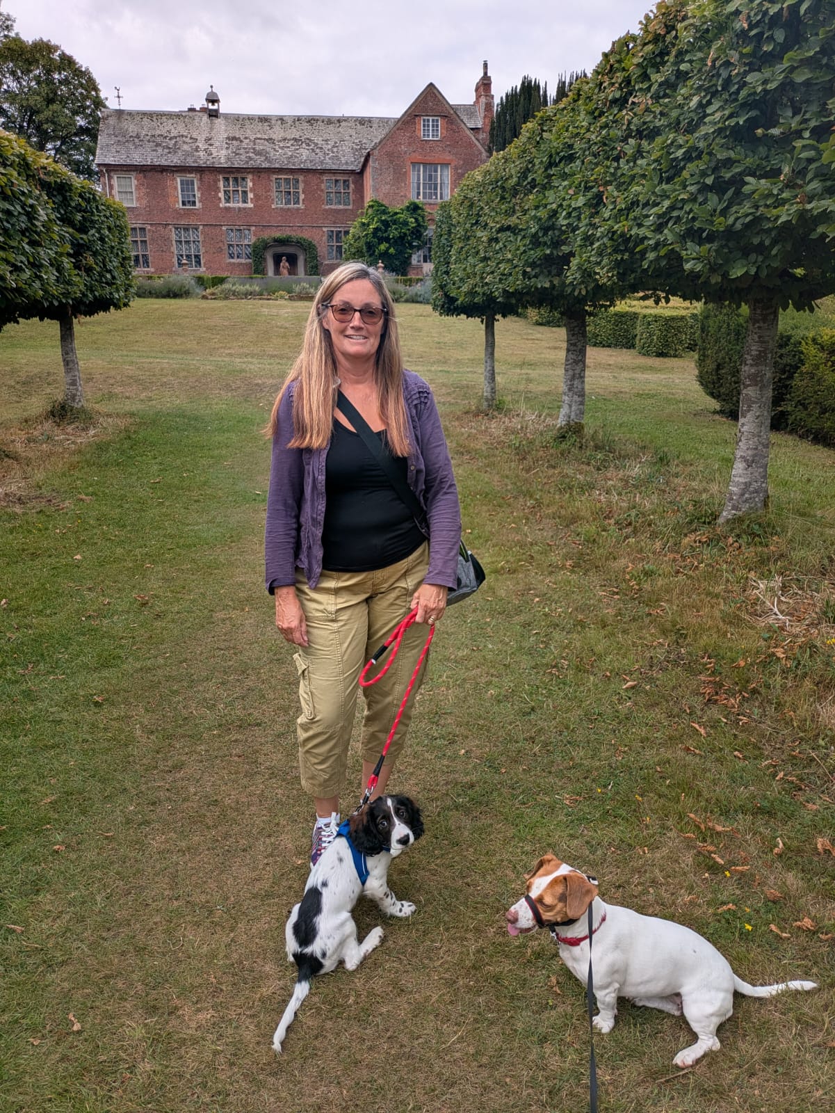 support in September, dog walking, slow considered living, netwalking