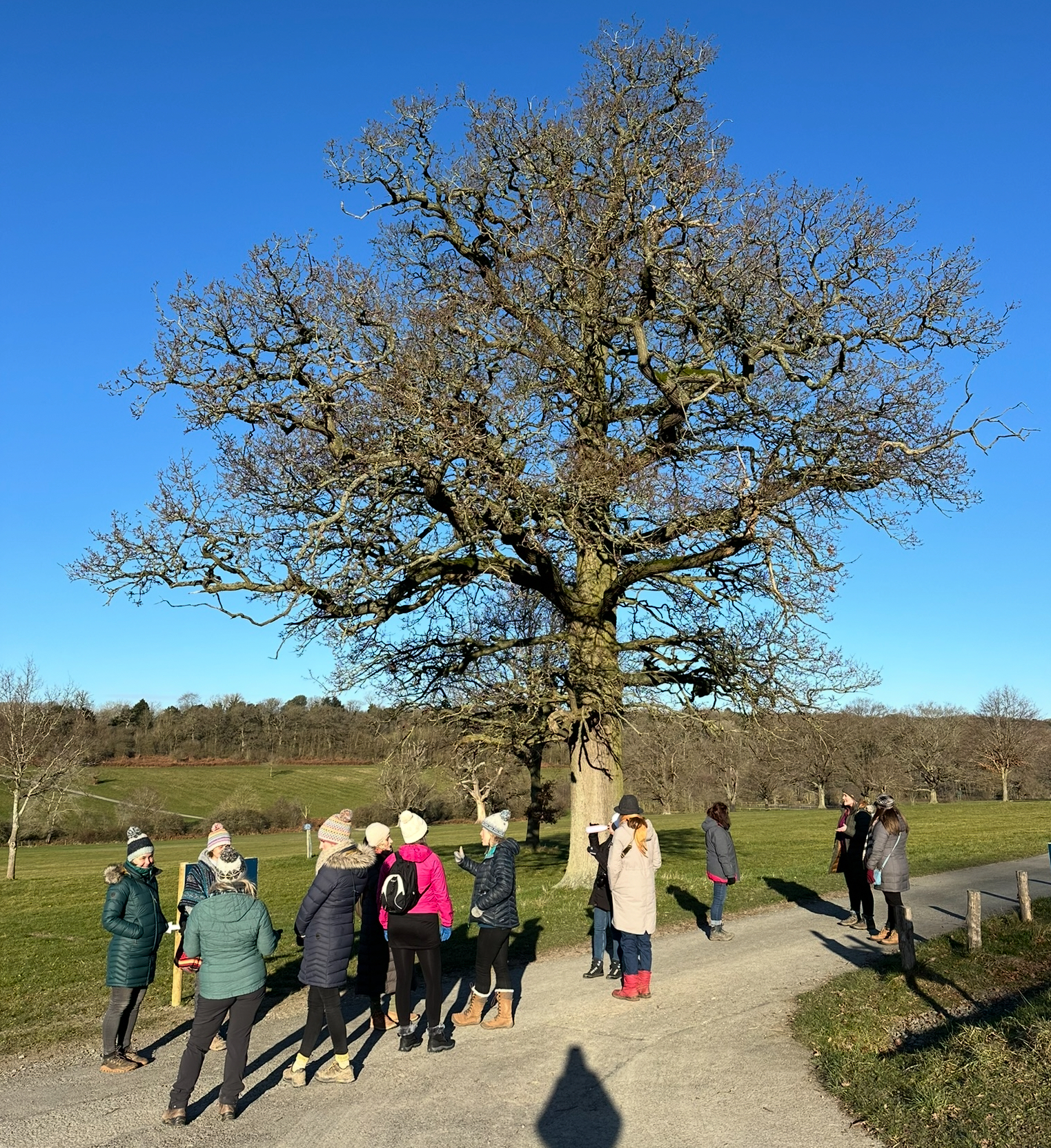 Netwalking, networking, women in business, outdoors, nature, nurture