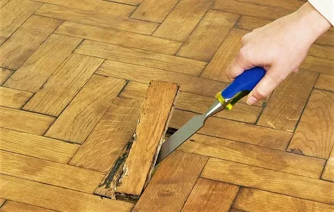 Hardwood Floor Repair Hardwood Floor Repair