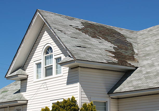 Top 5 Signs You Need Roof Repair in Northern Virginia Top 5 Signs You Need Roof Repair in Northern Virginia