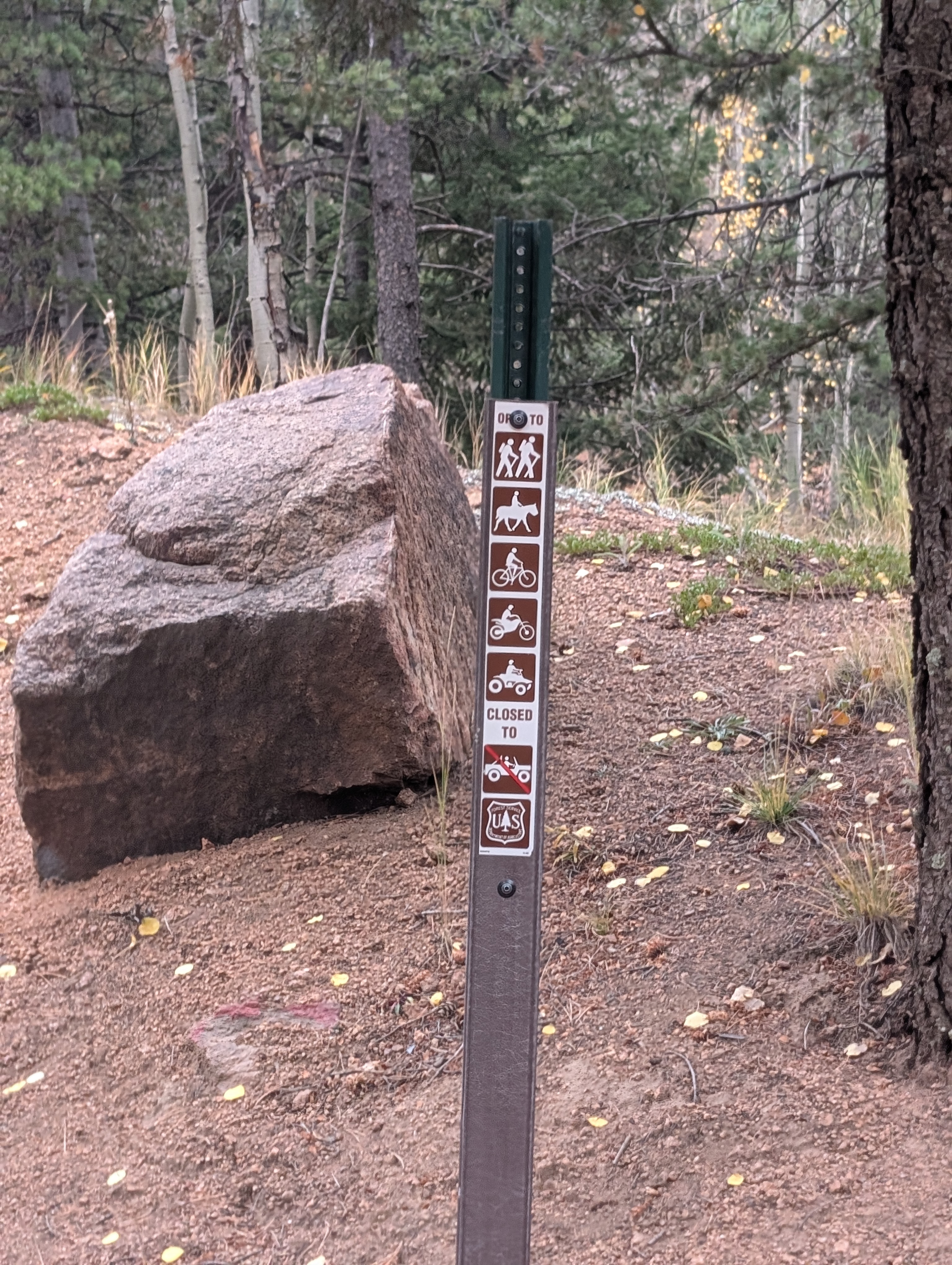 A panoramic view of a Colorado trail map spread out on a wooden table.
