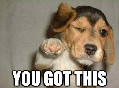 A meme of a dog saying you can do it A meme of a dog saying you can do it