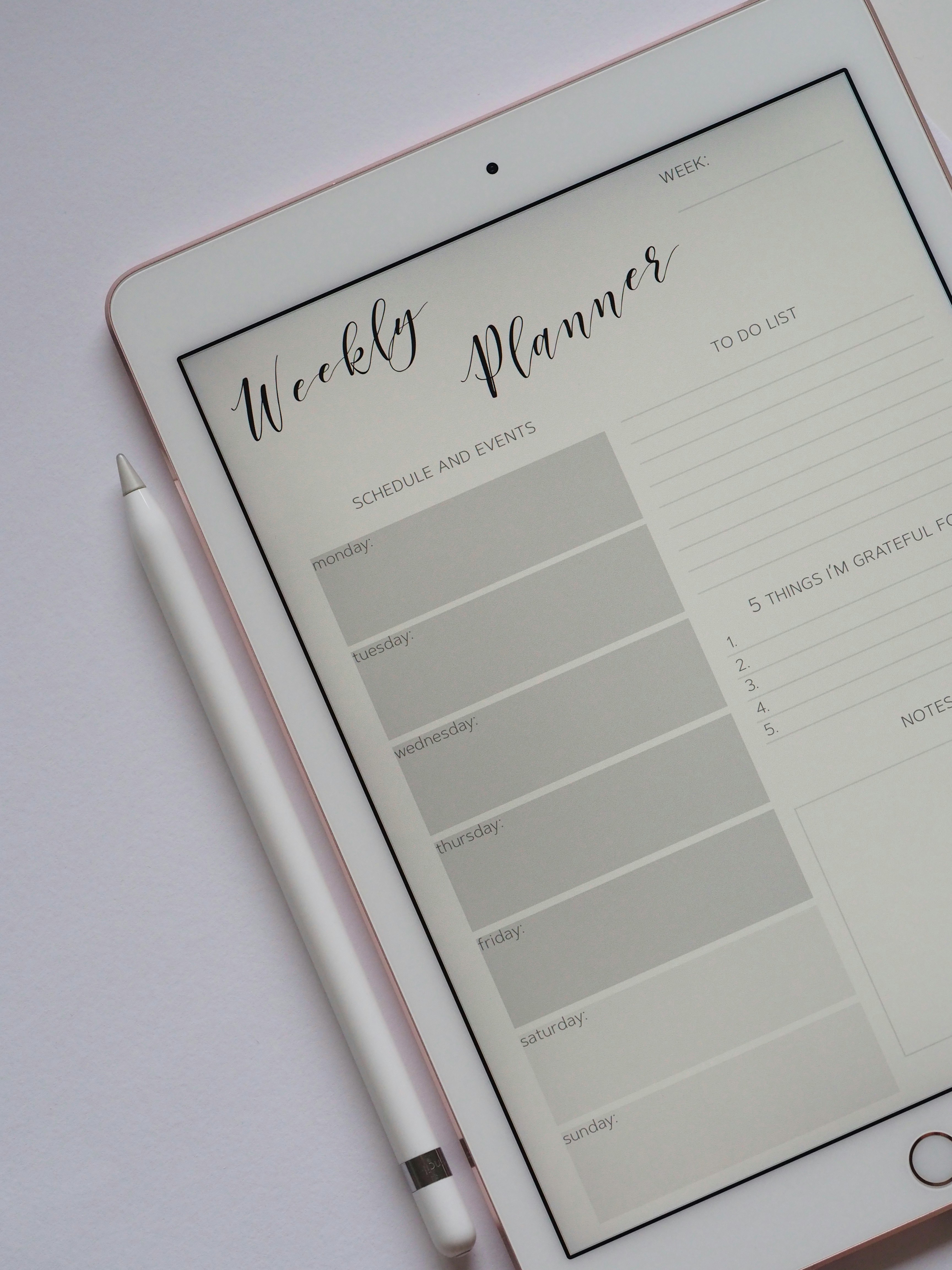 daily organizing checklist