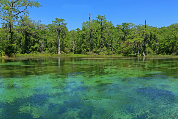 Visit Wakulla Springs State Park Visit Wakulla Springs State Park