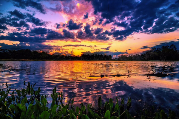 Lake Park Lake Park