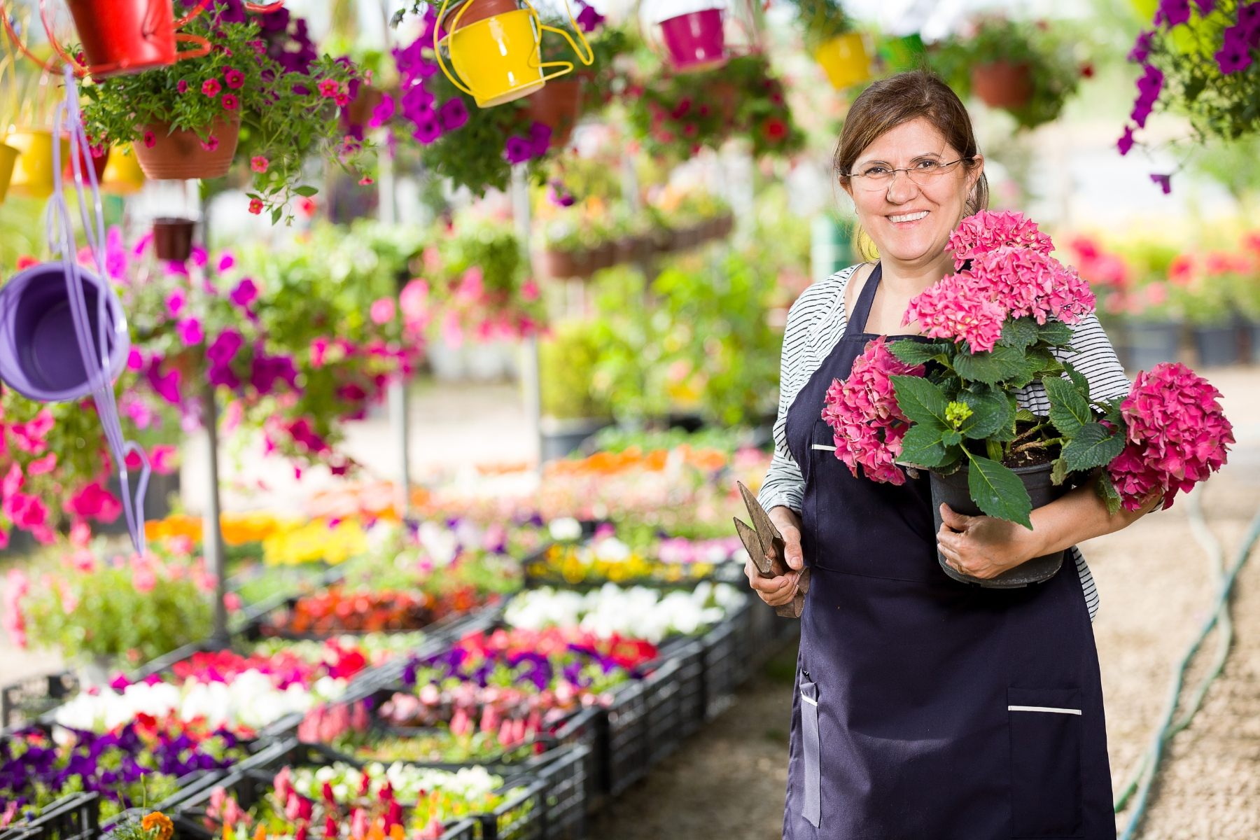 Reflect on What Ignites Your Midlife Passion