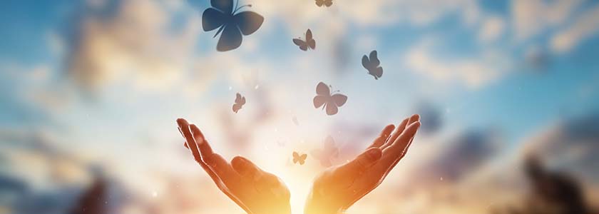 Transforming a Veteran's Life