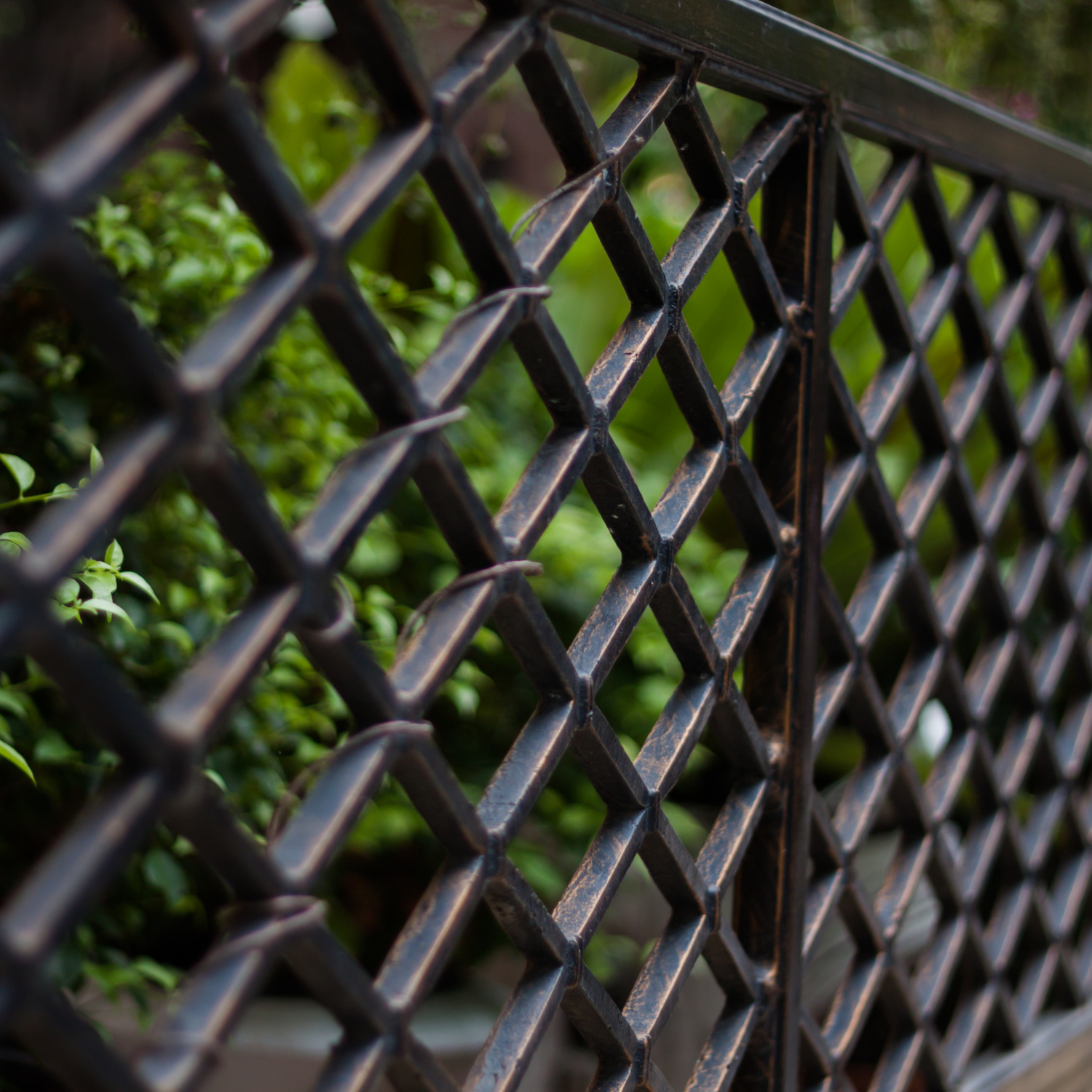 Black metal fence