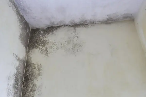 address small repairs promptly