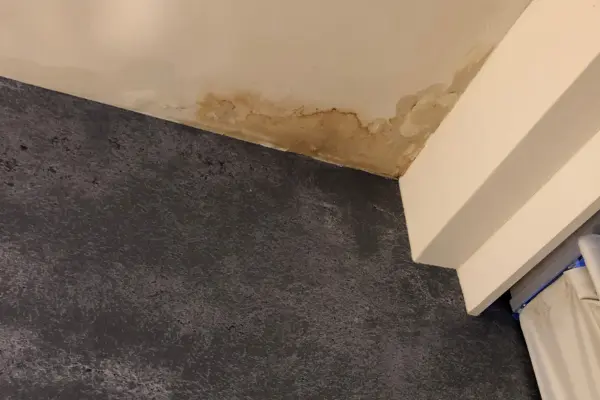 roof leaks repairs