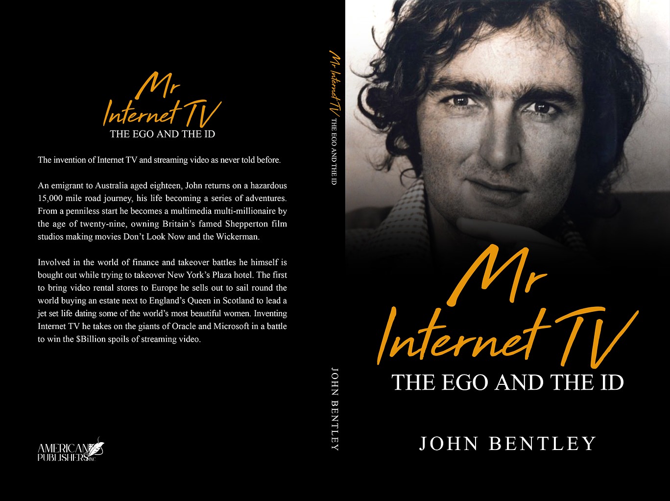 Mr. Internet TV Book Cover