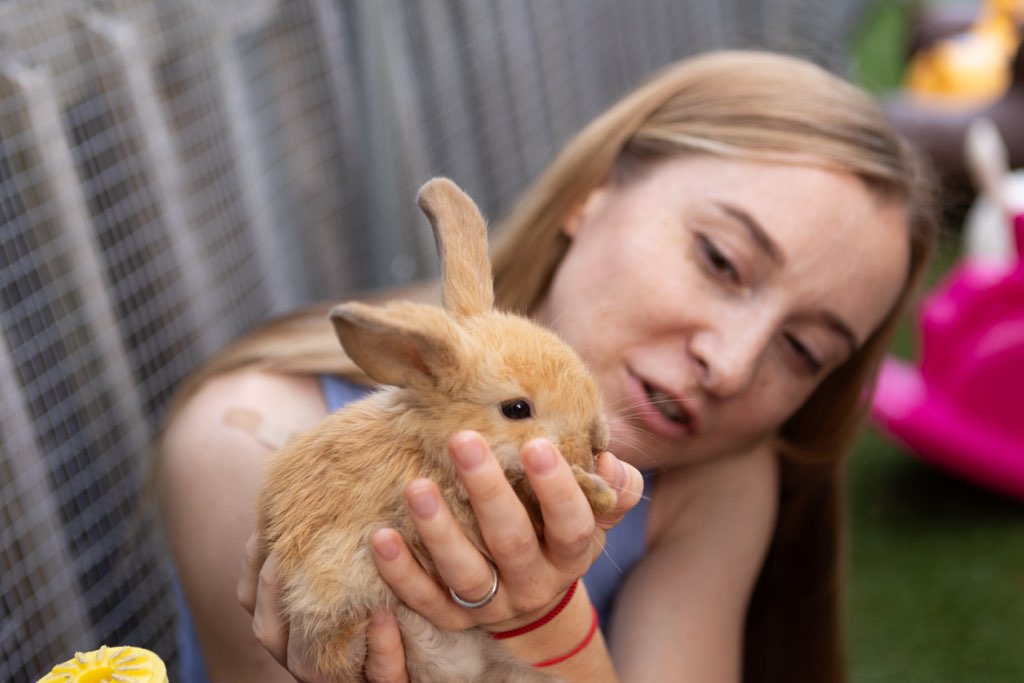 teacher holding a bunny from Exotic Animal Parties