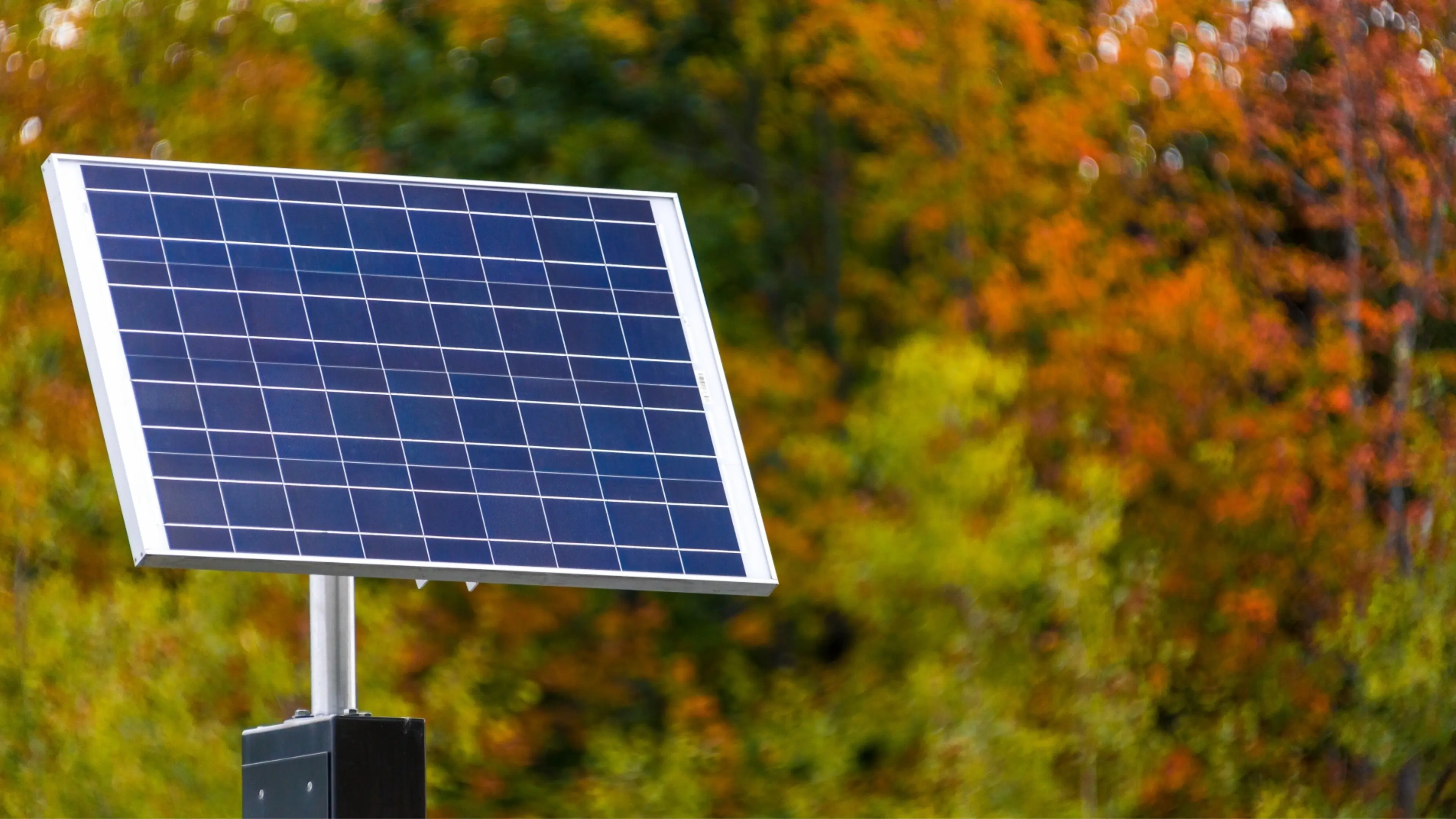 Pole-mounted ground solar installation against a natural backdrop. 