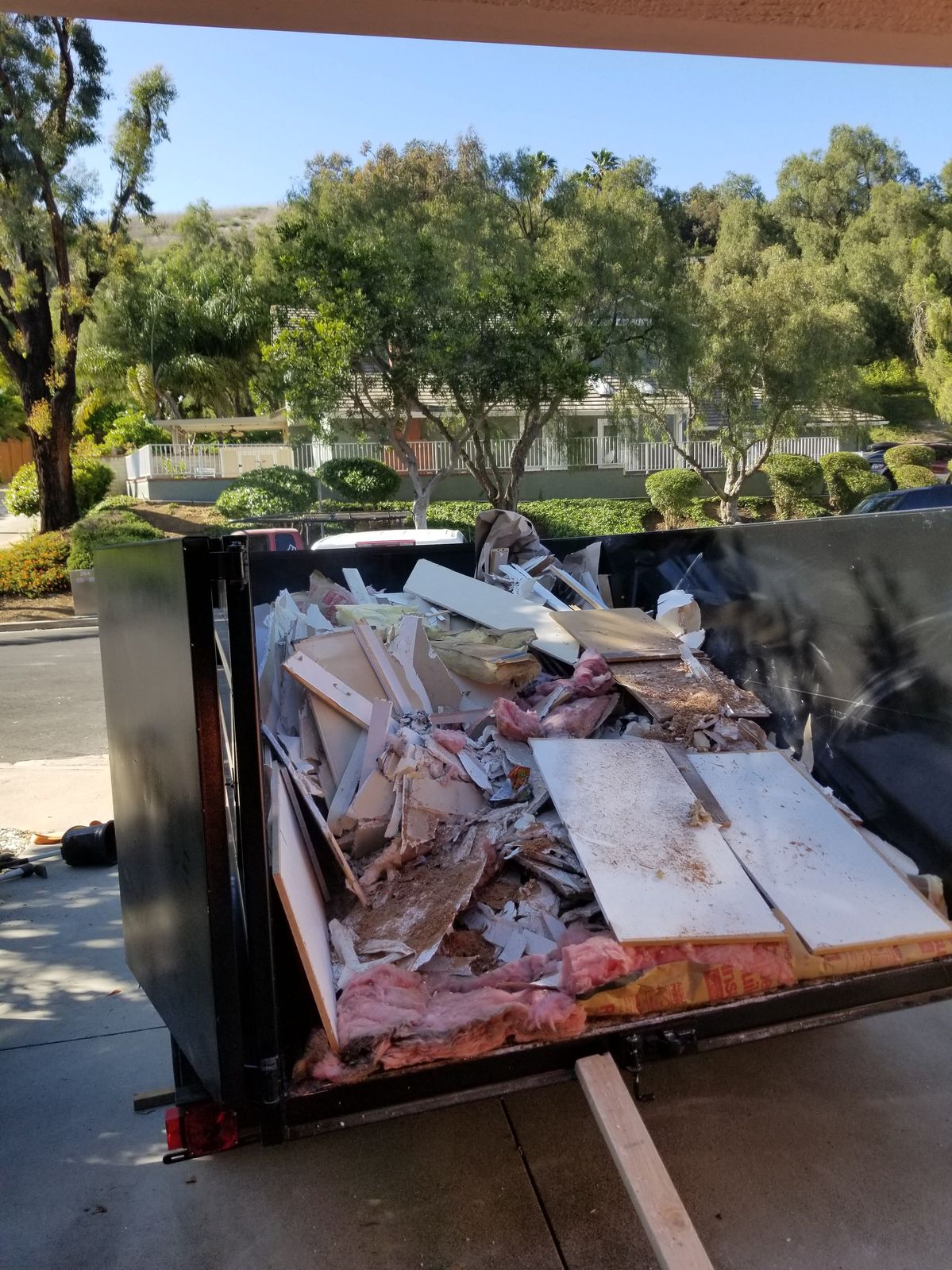 Hoarder Cleanout