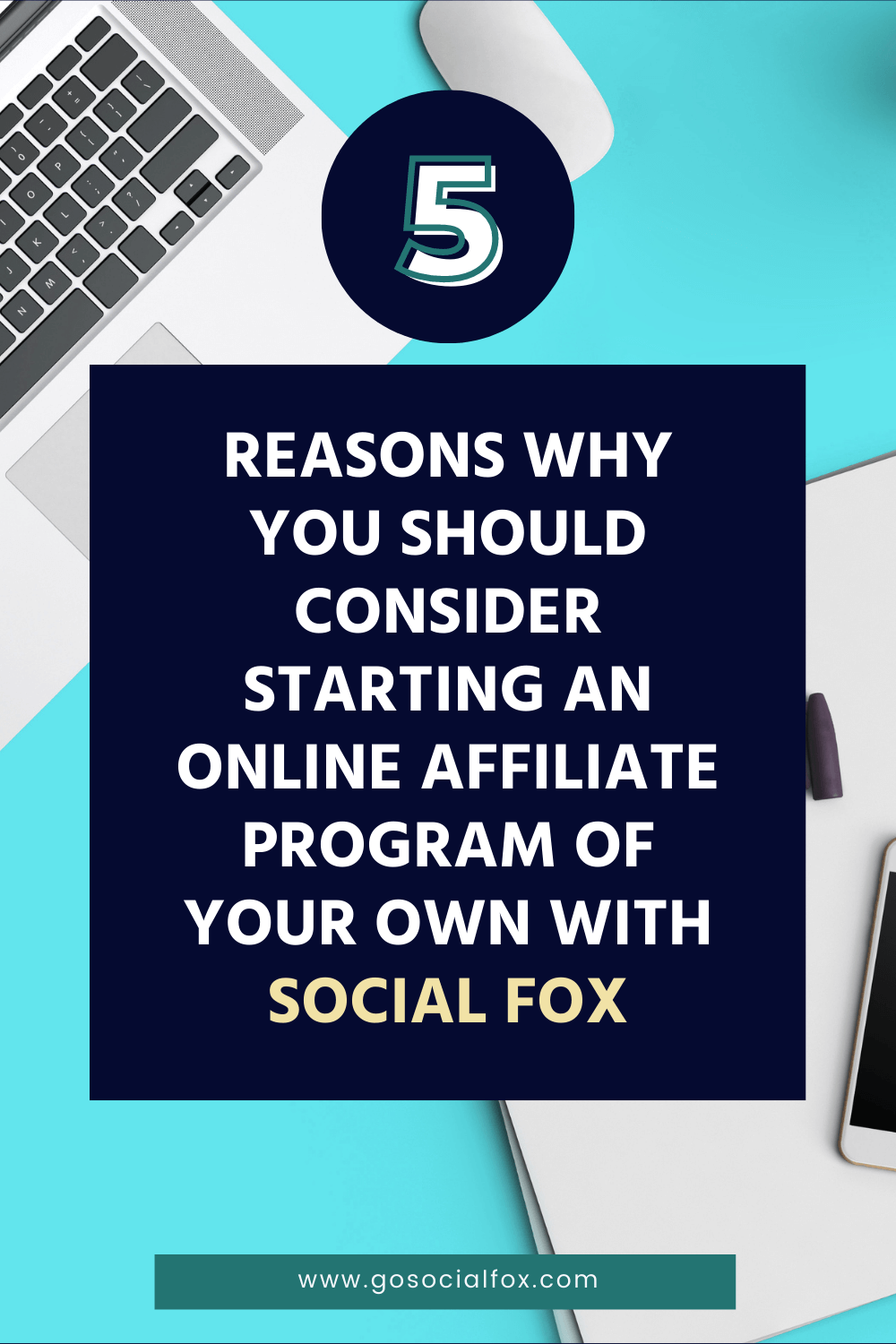 Why You Should Consider Starting an Online Affiliate Program Of Your Own with Social Fox