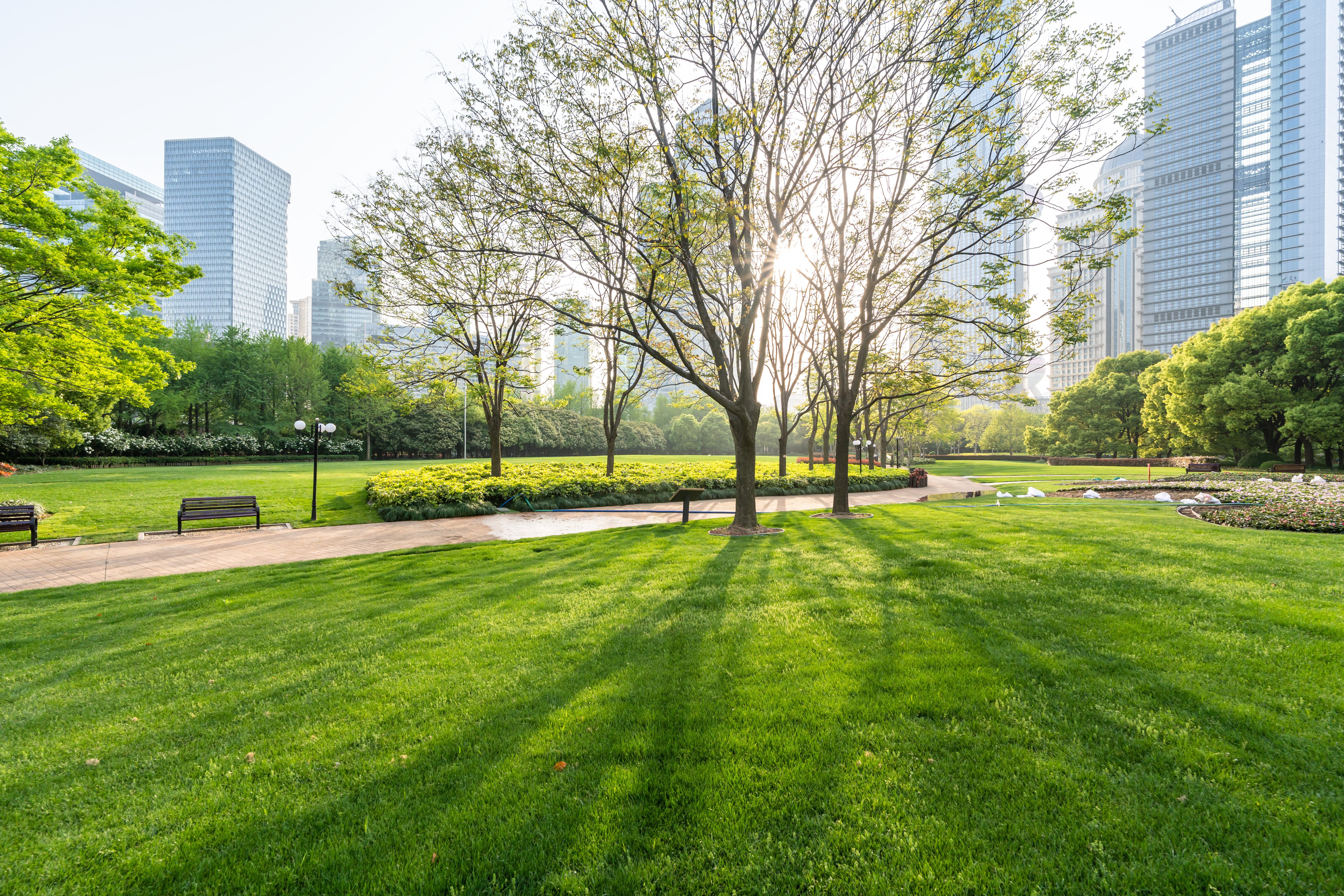 Beautiful landscaped lawn in Illinois