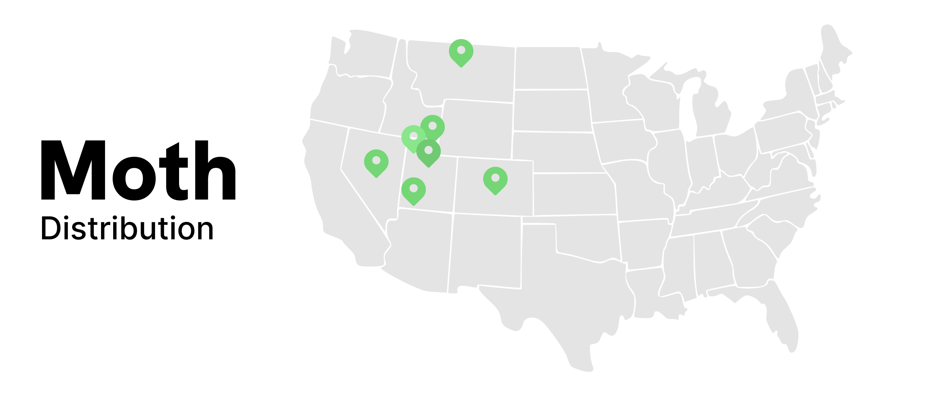 distribution of moths distribution of moths