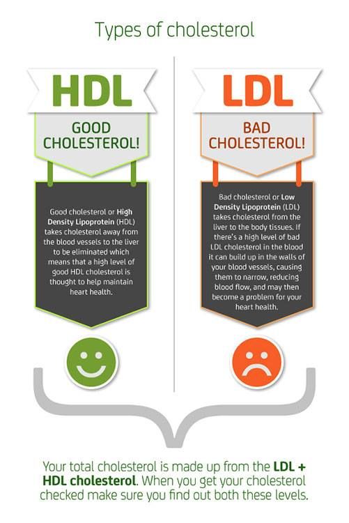 cholesterol