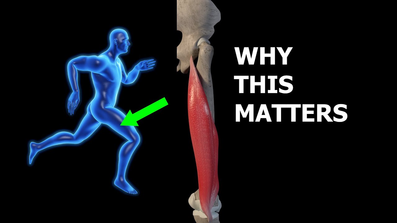 Why Hamstring Strength matters