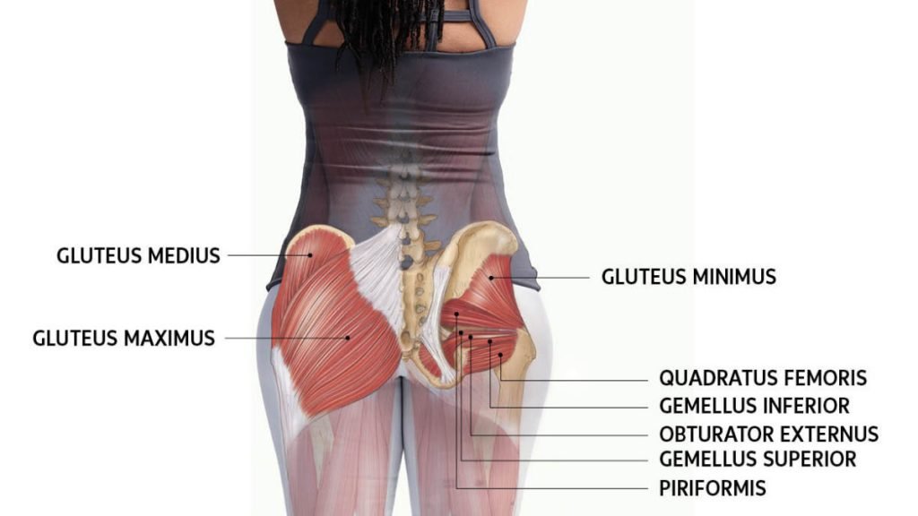 Glutes blasts