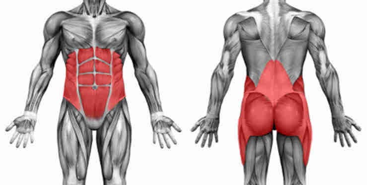 glutes and core