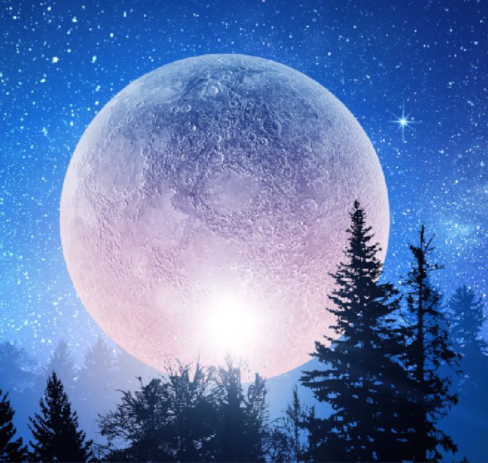 Corporate Moon Course