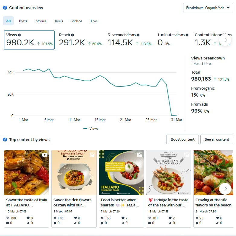 Meta Social Media Insights - Top Content