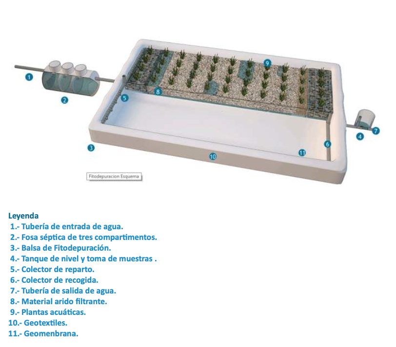 Fitodepuracion horizontal