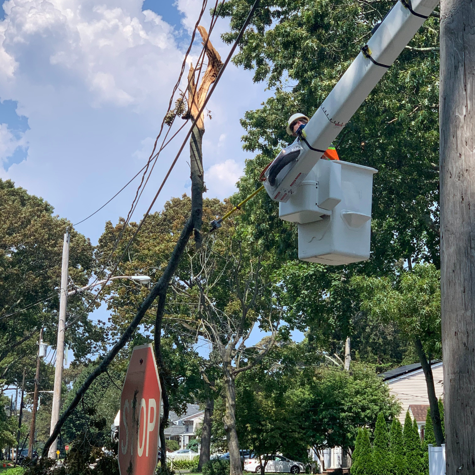 FAQs About Pre-Storm Tree Removal FAQs About Pre-Storm Tree Removal