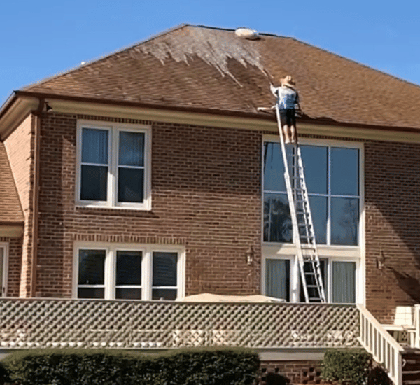Roof Cleaning and Why