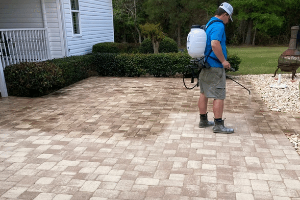 Paver stone sealing