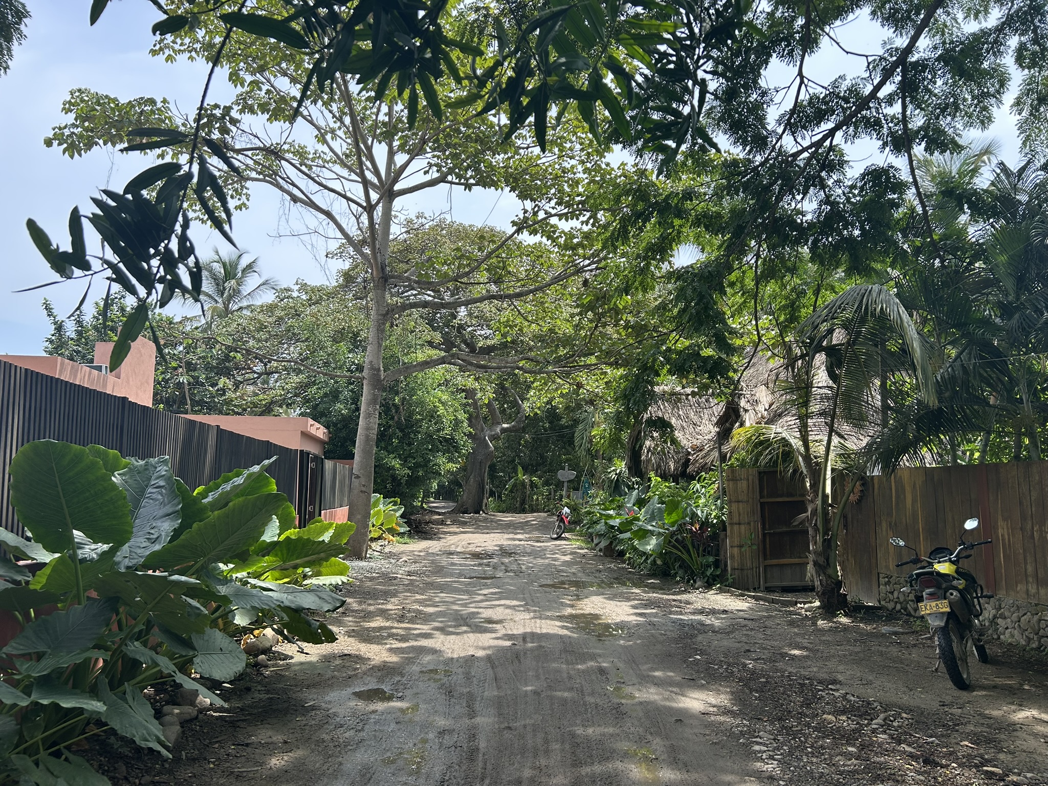 Scenic unpaved road in northern Colombia near Palomino