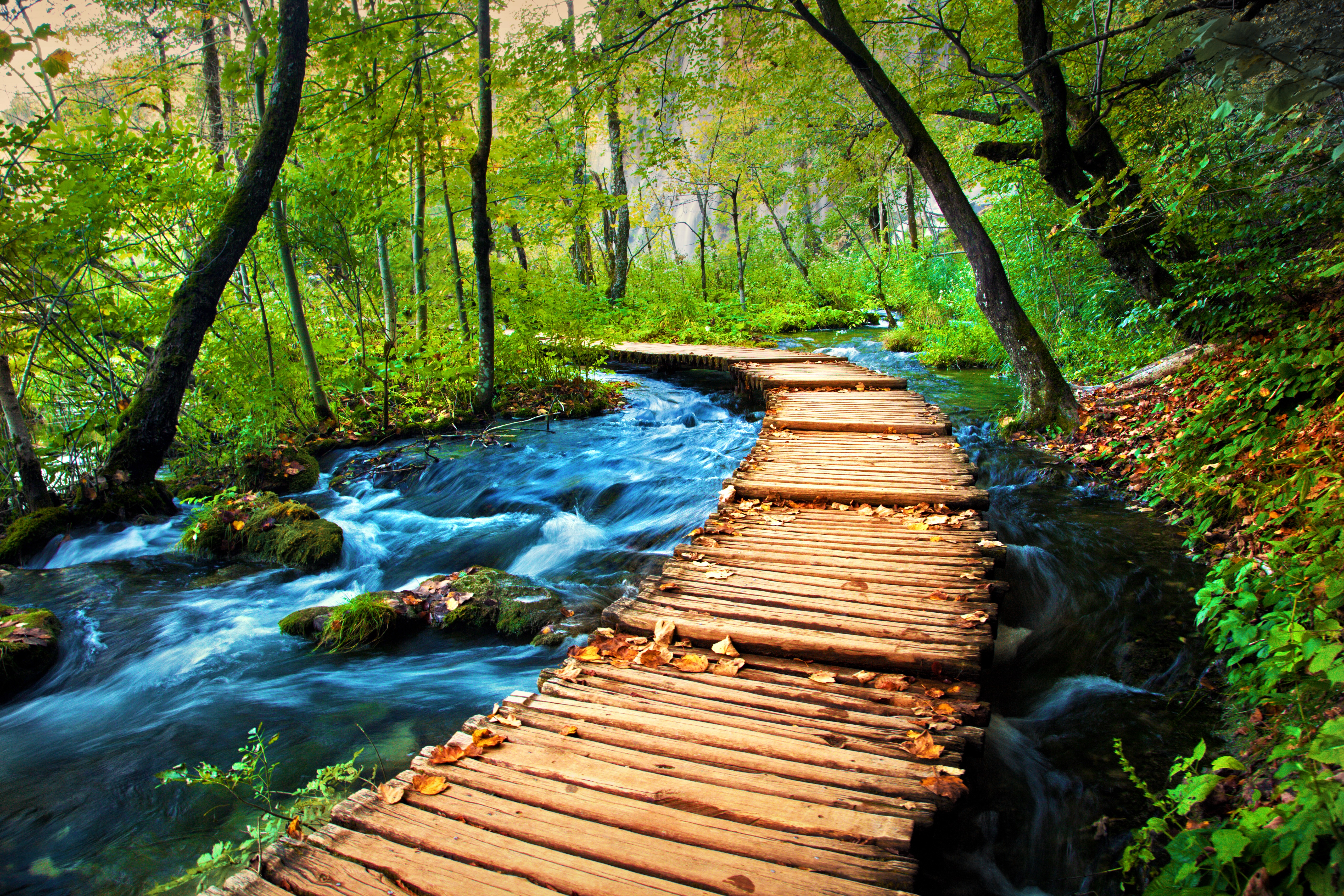Hidden Strengths Coaching, Introductory Offer