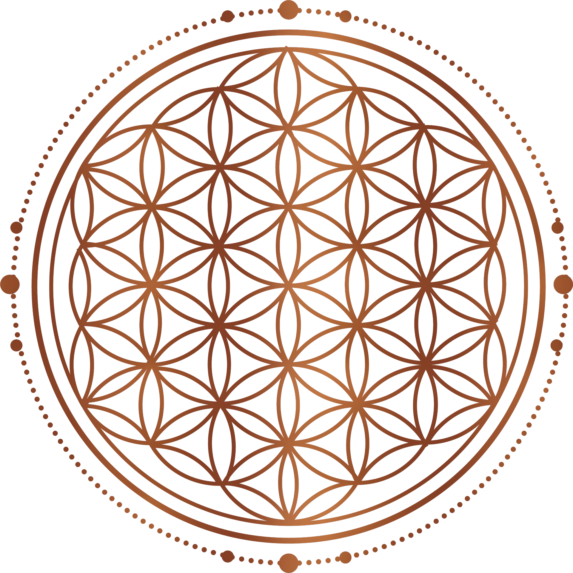 <p>Abundant <span style="color: var(--color-pxbyqxpz)">Ticket</span></p>