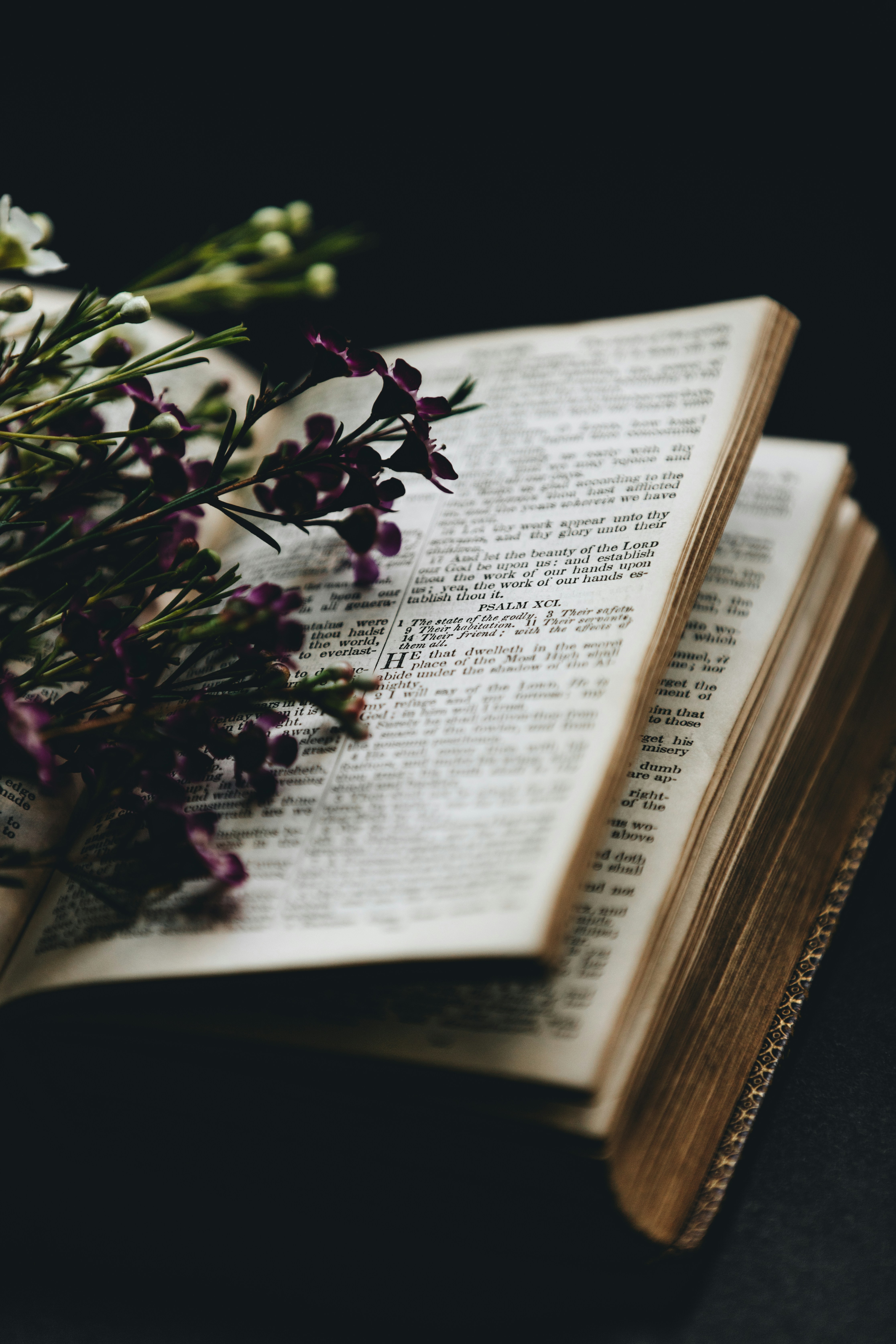 open bible with flowers on it